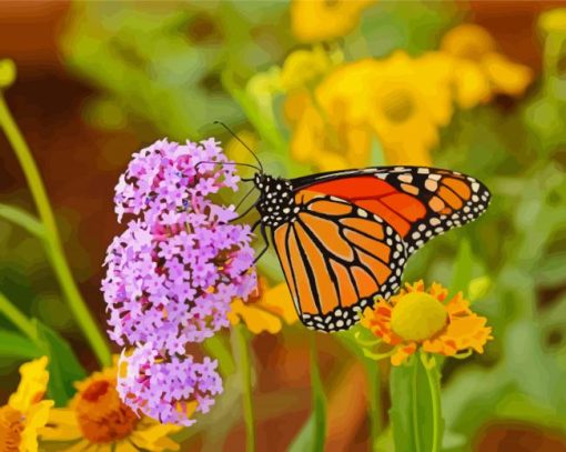 Monarch Butterfly Garden Paint By Numbers