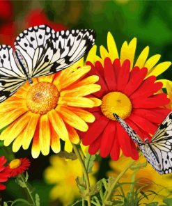 Red And Yellow Flowers With Butterflies Paint By Numbers