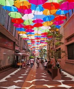 Shopping Street And Umbrellas paint by number