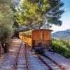 Soller Train Paint By Numbers