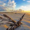 St Simons Island Beach At Sunset Paint By Numbers