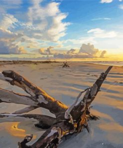 St Simons Island Beach At Sunset Paint By Numbers