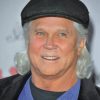 The Actor Tony Dow paint by number