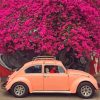 Vw Beetle Pink Blossom Trees Paint By Numbers