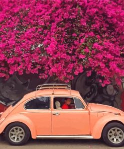 Vw Beetle Pink Blossom Trees Paint By Numbers