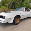 White 78 Trans Am Paint By Numbers