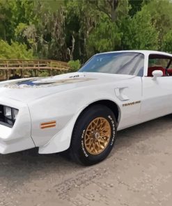 White 78 Trans Am Paint By Numbers