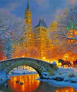 Winter Central Park New York Paint By Number