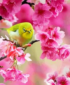 Yellow Bird And Pink Flower Paint By Numbers