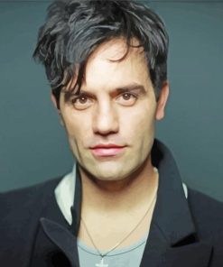 Actor Ramin Karimloo Paint By Numbers