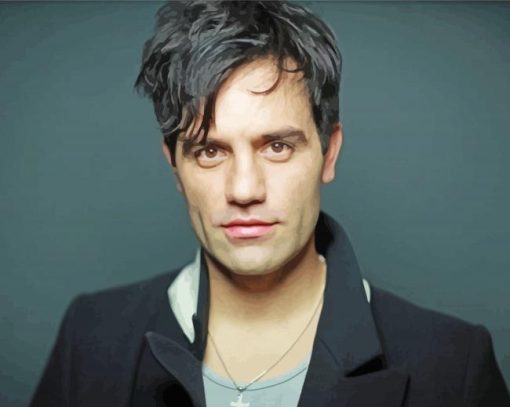 Actor Ramin Karimloo Paint By Numbers