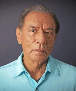 Actor Wes Studi Paint By Numbers