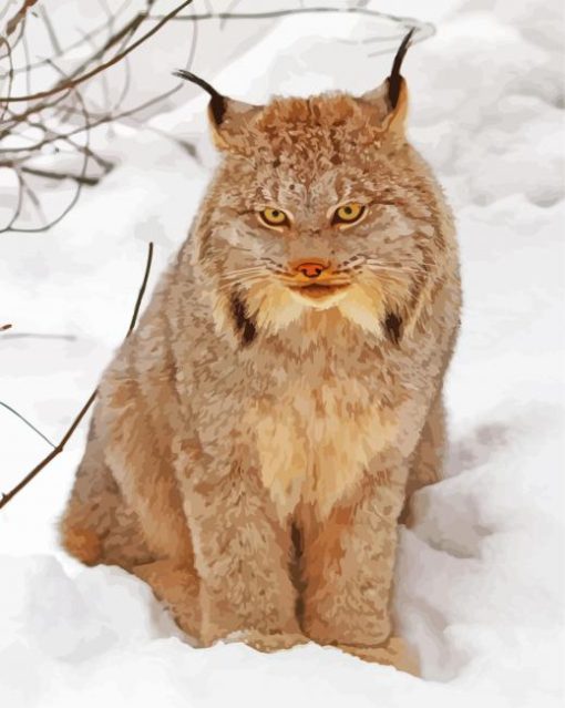 Aesthetic Canada Lynx Paint By Numbers