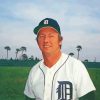 Albert William Kaline Paint By Numbers