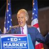 American Ed Markey Paint By Numbers