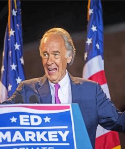 American Ed Markey Paint By Numbers