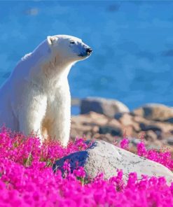 Bear In Flowers Field By River Paint By Numbers