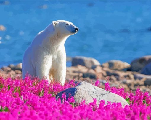 Bear In Flowers Field By River Paint By Numbers