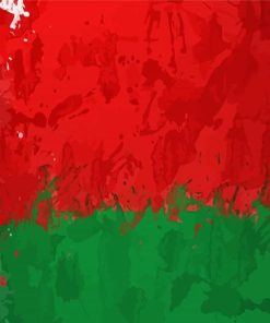 Belarusian Flag Art Paint By Numbers