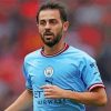 Bernardo Silva Paint By Numbers