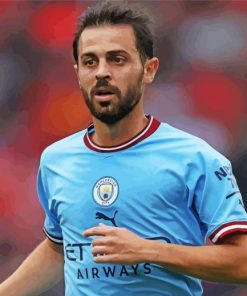 Bernardo Silva Paint By Numbers