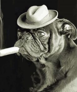 Black And White Bulldog Smoking Cigar Paint By Numbers