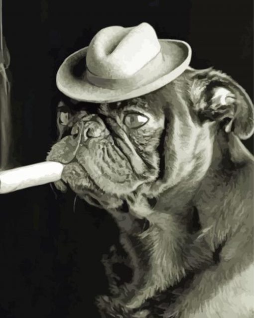 Black And White Bulldog Smoking Cigar Paint By Numbers