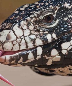 Black And White Tegu Lizard Head Paint By Numbers