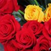 Blooming Red And Yellow Roses Paint By Numbers