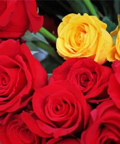 Blooming Red And Yellow Roses Paint By Numbers