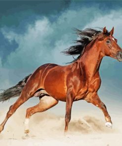 Brown Lusitano Horse Running Paint By Numbers