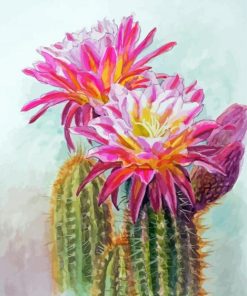 Cactus And Flowers Art Paint By Numbers