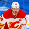 Calgary Flames Player Paint By Numbers