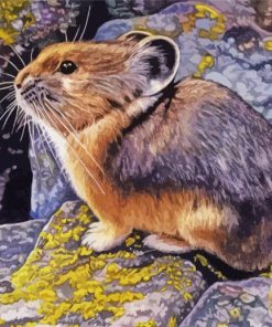 Collared Pika Paint By Numbers