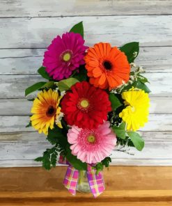 Colorful Daisy In Vase Paint By Numbers