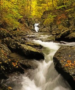 Fall In Berkshires Paint By Numbers