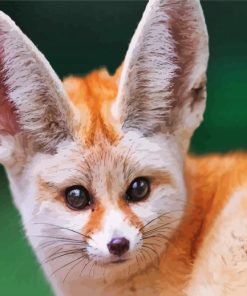 Fennec Fox Face Paint By Numbers