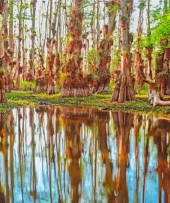 Florida Big Cypress Paint By Numbers