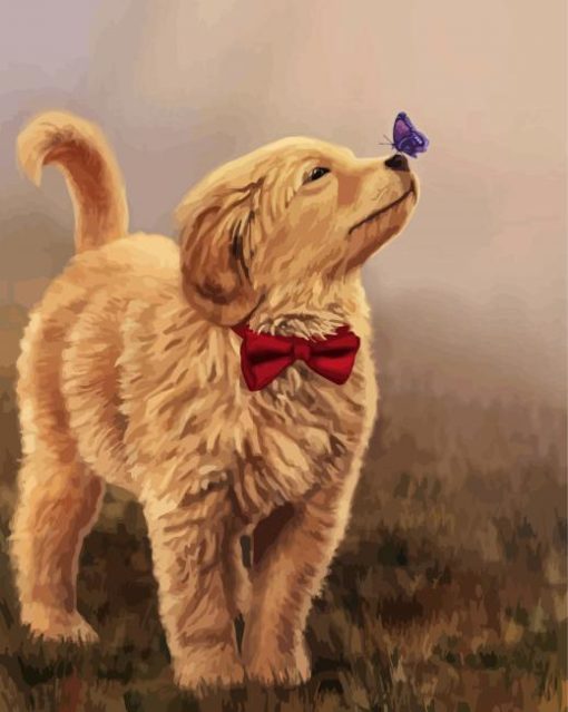 Golden Puppy Art Paint By Numbers