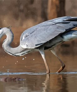 Grey Heron Fishing Paint By Numbers