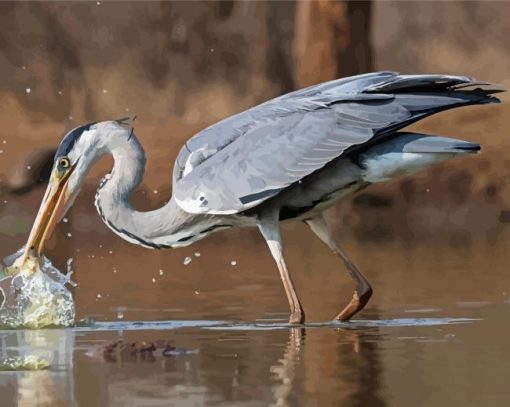 Grey Heron Fishing Paint By Numbers