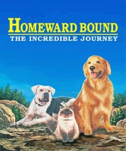 Homeward Bound The Incredible Journey Poster Paint By Numbers