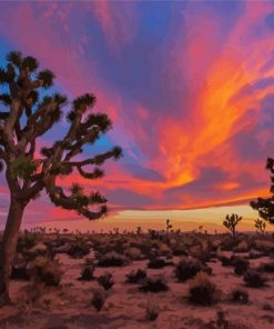 Joshua Tree National Forest Sunset Paint By Numbers