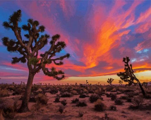 Joshua Tree National Forest Sunset Paint By Numbers