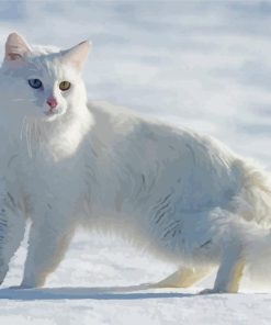 Large Fluffy Cat In Snow Paint By Numbers