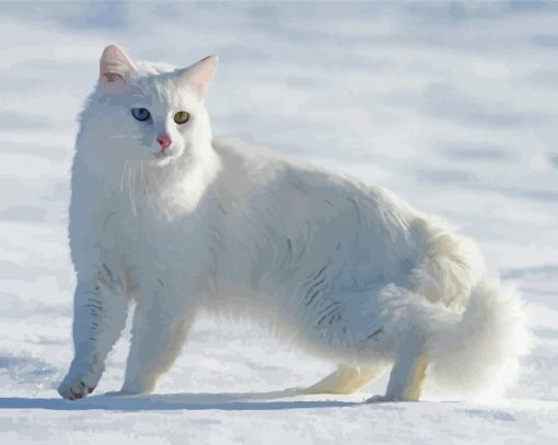 Large Fluffy Cat In Snow Paint By Numbers