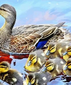 Mallard Duck And Baby Ducks Paint By Numbers