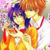 Manga Anime Kaichou Wa Maid Sama Paint By Numbers