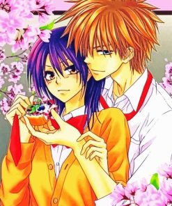 Manga Anime Kaichou Wa Maid Sama Paint By Numbers