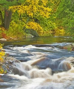 Muskoka River Canada Paint By Numbers